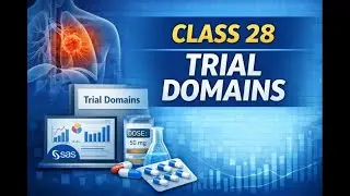 КЛАСС 28 SDTM ТРАССИРЫ SDTM