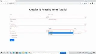 Angular 12 Reactive Form Working Demo | Email Validation | Checkbox Validation