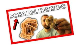 🔴 NO LA COMPRES 🔴 - ROSA DEL DESIERTO - Unboxing de Minerales del Mundo