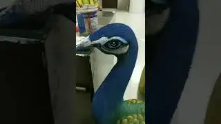 how to make peacock sculpture? | beautiful peacock art with fom and acrylic color