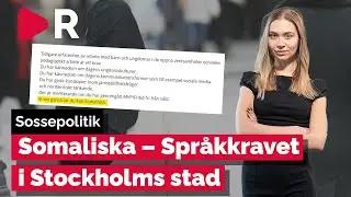 Pratar vi inte svenska i Sverige?