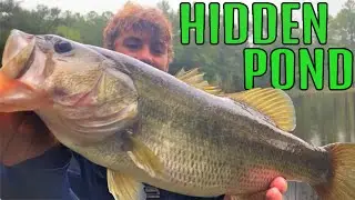 Fishing a HIDDEN POND For GIANT BASS!(Middle of the woods!)