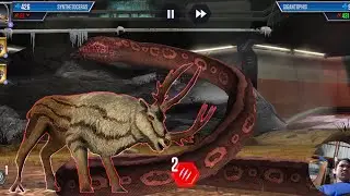 Team Dino SYNTHTOCERAS VS Team Dino MEGISTOCURUS Ep60 @moohooaa