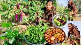 Unique Recipe of Fresh Khatti Saag, Fresh Eggplant and Sour Small Tomatoes | Village Rasoi Channel 