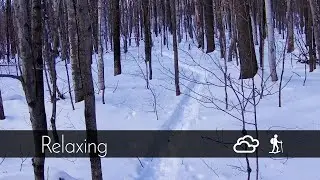 SlowTV - Relaxing Music - Snowshoe walk