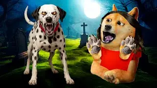 &iexcl;Mi perro REVIVI&Oacute;! 🐶💀➡️🐾