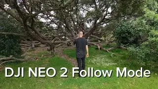 Fail or Pass How did the Neo 2 perform ??? #drone #dji #djineo2 