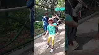 || Mysore Zoo||