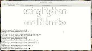 Network Automate - 03. Running Your Scripts