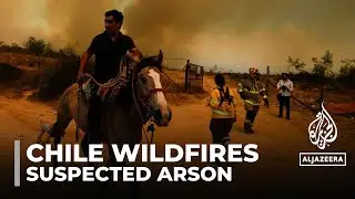 Chile wildfires: At least two people arrested for suspected arson