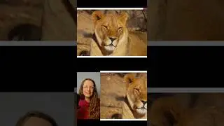 MALE & FEMALE in Biblical Hebrew