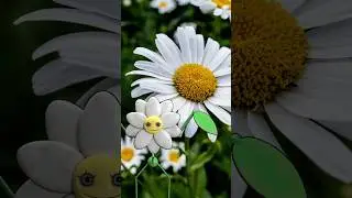 5 Things About DAISY - POPPY PLAYTIME #shorts #youtubeshorts