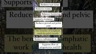 Lymphatic work = pain free periods 🩸🙌🏻
