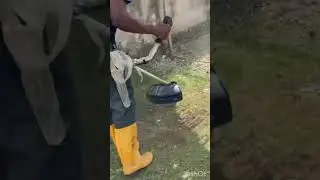 MOW TIME?? NO PROBLEM #satisfying#shorts#cleaning#lawncare