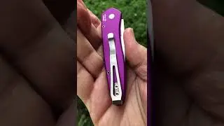 Protech Limited Edition Purple Newport