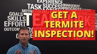 Why Did this Agent Advise Against a Termite Inspection?