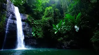 Jungle Waterfall White Noise | Sleep Ambience