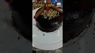 Bento cake 🍰/ lunch box cake #shorts #minivlog #trending #cake #foryou #odia #shortfeed #viral