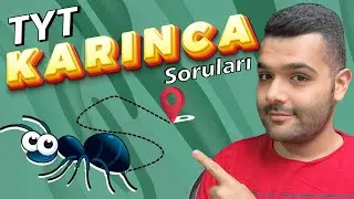 TYT Karınca Soruları Nasıl Çözülür ? | Tek Hamlede Öğren !