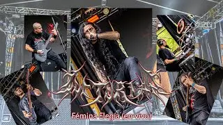 Lucturian -  F&eacute;mina Eleg&iacute;a (en vivo 2025)