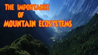 Mountain Ecosystems,