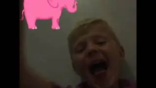 Dub1(2)