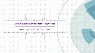 Court Audio - Tiny Toese Trial - Day 1 - 21CR61225 - 28 Feb 2023