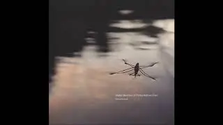 Tom Lawrence - Point Of Gibraltar  [Field Recording, Ireland, 2011]
