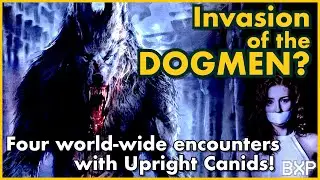 Do You Believe Upright Canine Dogmen Exist? Four first-person accounts - Phantoms & Monsters Radio