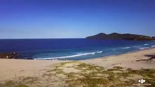 Shark spotting