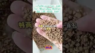 OEM AI Color Sorter Factory Supplier with Training Support India Egypt Turkey