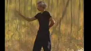 Qi Gong For Musicians-DVD