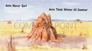 Ant Philosophy
