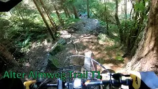 Alter Almweg Trail T1