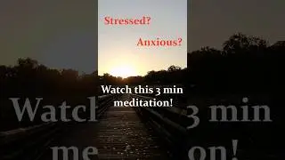3 Minute Trail Meditation #nature  #meditation