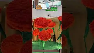 pm mall republic day decoration 2026 #pm mall #pmmall