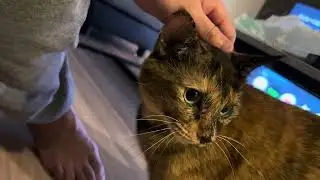 歯磨きおやつで失敗！？
