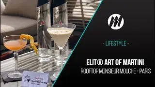 Elit&reg; Art Of Martini x Paris 2017