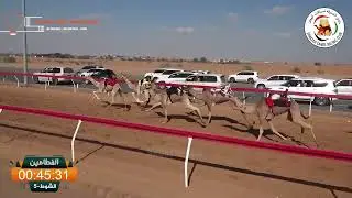 ميــدان الذيد - ش 5 الفطامين 17/01/2026 الشاهينية لـ محمد عوض مهيمير اجتبي.  التوقيت - 1:49:47