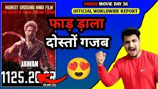 Jawan Day 36 Official Worldwide Box Office Collection | Jawan Total Box Office Collection #jawan