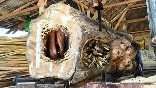 Momen penemuan tak terduga saat menggergaji kayu besar di tempat penggergajian kayu