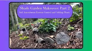 Shade Garden Make-Over using my  Economical Composting Method!