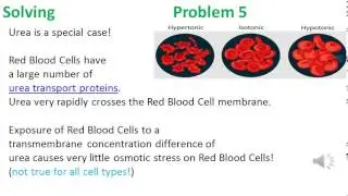 Diffusion and Osmosis problem 5 video