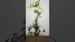Hanging water garden