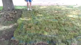 UNITY of Madisin Labyrinth build day