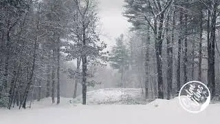 ❄️🌬️ Snowstorm Wind Sounds for Deep Sleep, Focus & Relaxation ❄️🌬️  Calming Winter Ambience