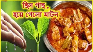 From plant to mutton| daily life|my life|how to plant