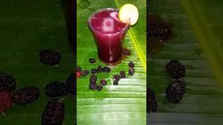 Mulberry Juice | Summer Refreshing Drink | Delicious Shahtoot Juice | #shorts #summerdrink #juice