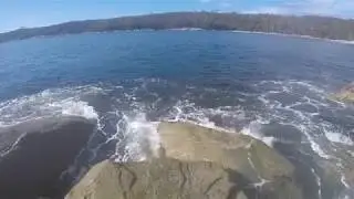 Wrasse On Plastics | Tasmanian Rock Fishing