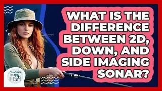 What Is The Difference Between 2D, Down, And Side Imaging Sonar? - Chasing Big Fish